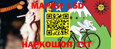 PSILOCYBIN Моздок