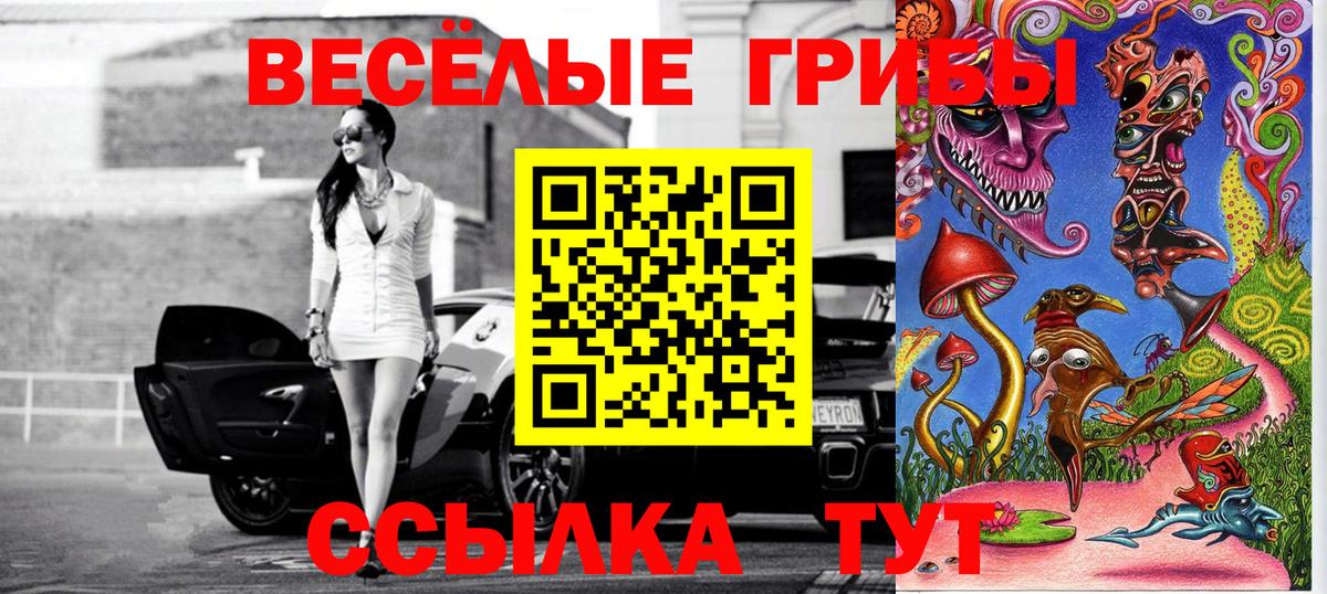 Псилоцибиновые грибы мухоморы  как найти закладки  Коряжма  Галлюциногенные грибы прущие грибы  Вход с VPN 