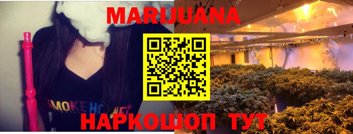 Канабис сатива Коряжма